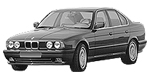 BMW E34 P176D Fault Code